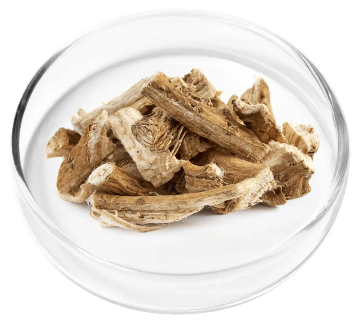 Marshmallow Root