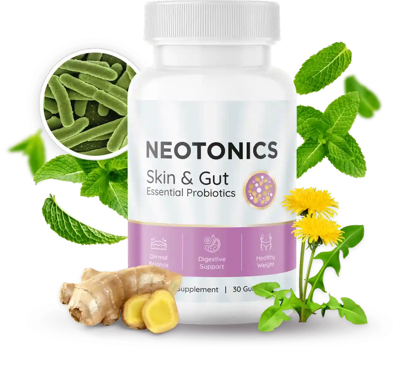 Nervovive Supplement